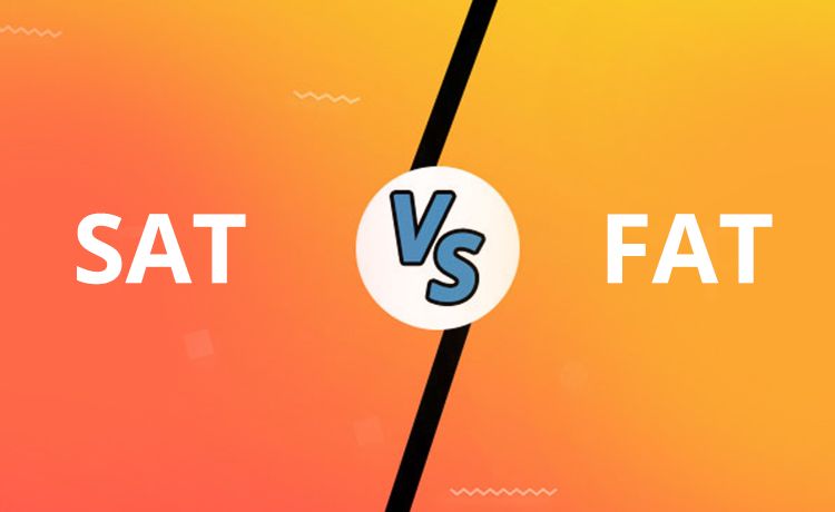 The Difference Between a SAT and a FAT